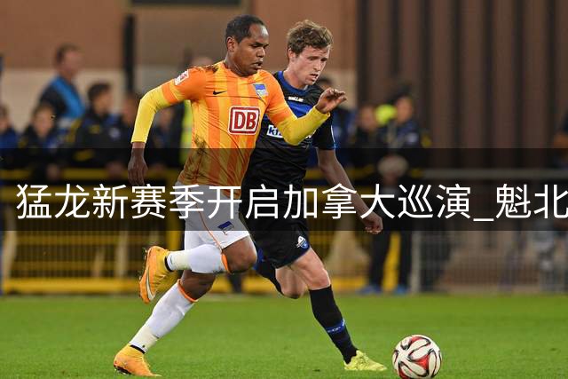猛龙新赛季开启加拿大巡演 魁北克训练营打响五城之战