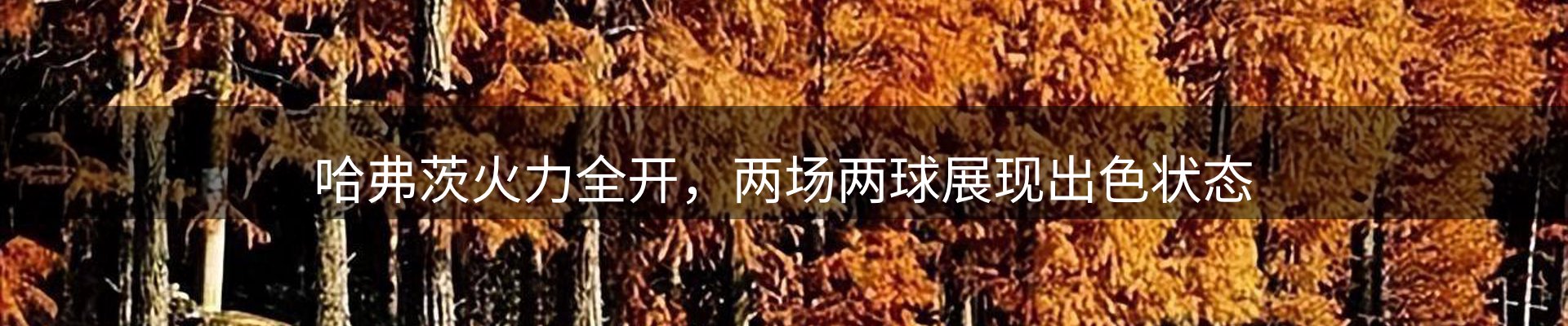 最新资讯