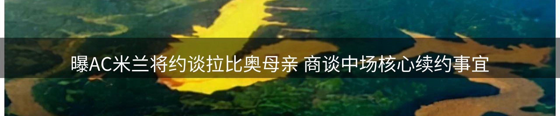 品牌盘点