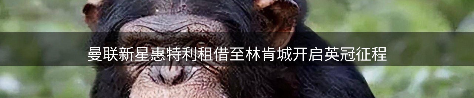 最新资讯