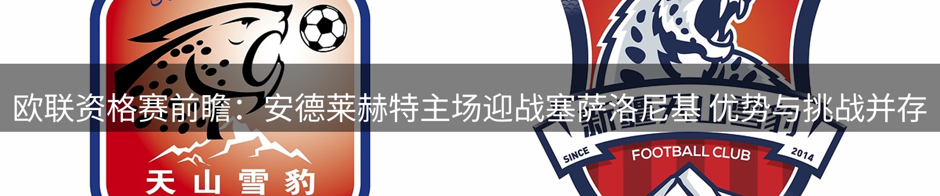 最新资讯