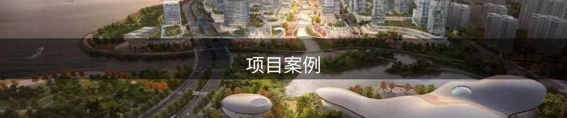 项目案例